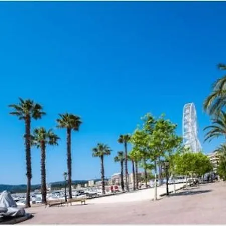 Studio Cosy Au Lavandou, Proche Plage, Animaux Acceptes - Fr-1-251-844 Apartment