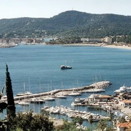 Studio Cosy Au Lavandou, Proche Plage, Animaux Acceptes - Fr-1-251-844 Apartment