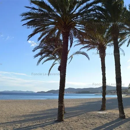 Studio Cosy Au Lavandou, Proche Plage, Animaux Acceptes - Fr-1-251-844 Apartment