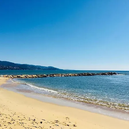 Apartment Studio Cosy Au Lavandou, Proche Plage, Animaux Acceptes - Fr-1-251-844 *